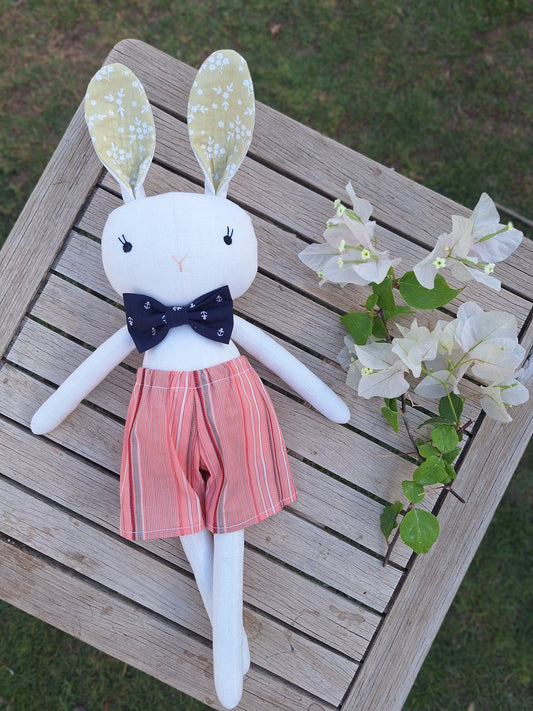 ג'רמי הארנב